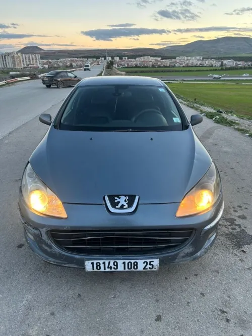 Peugeot 407 2008 