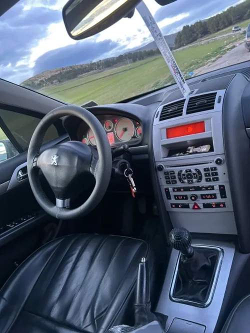 Peugeot 407 2008 