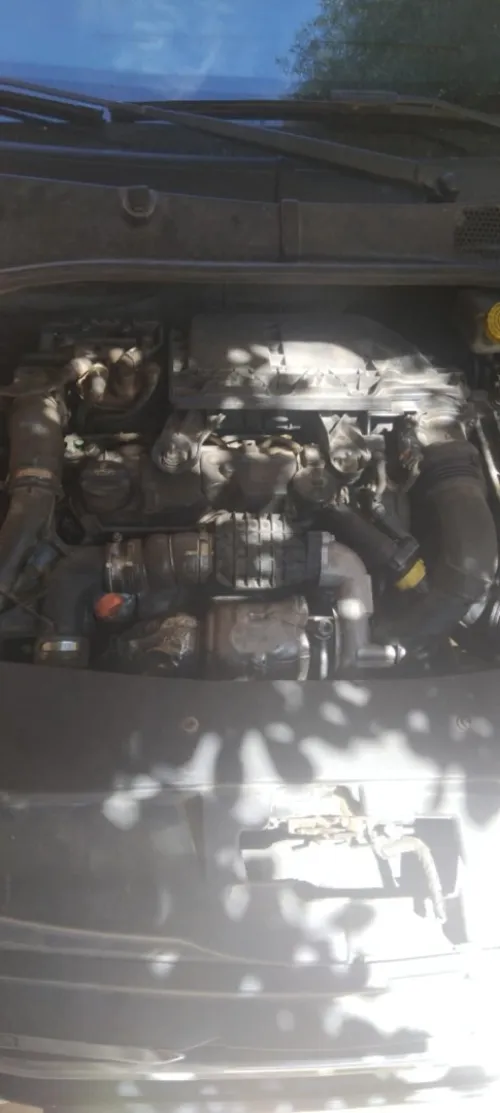 Peugeot 301 2013 301