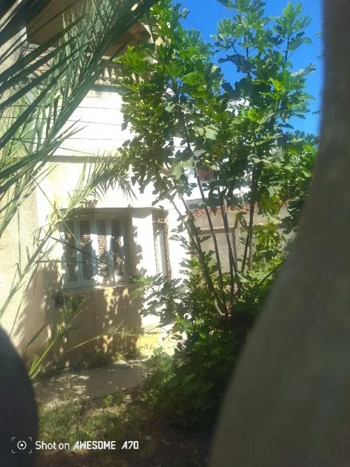 Vente Villa Alger Hraoua