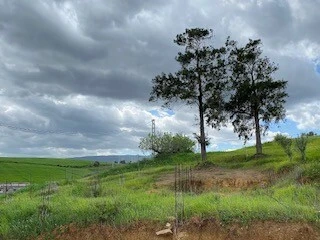Vente Terrain Tipaza Sidi amar