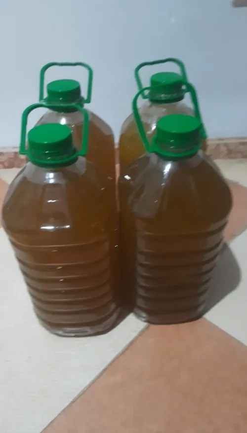 زيت الزيتون أصلى لسنة 2025/2024 من بويرة 