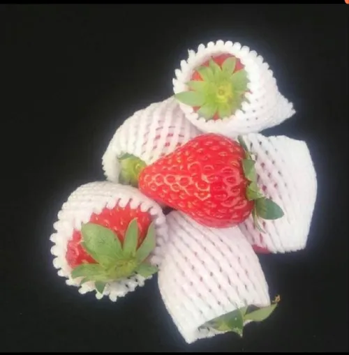Emballer les fruits/verres/légumes filet en mousse,EPE