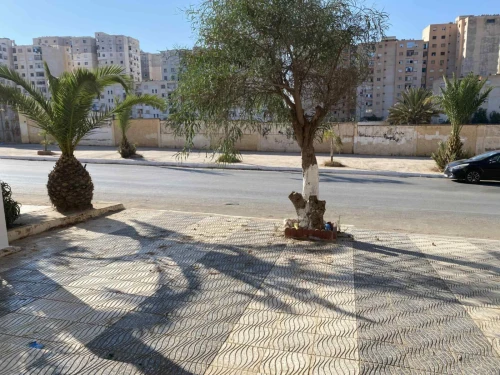 Location Local Oran Bir el djir