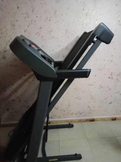 مستغانم خضرة