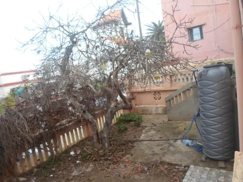 Location Oran Ain el turck