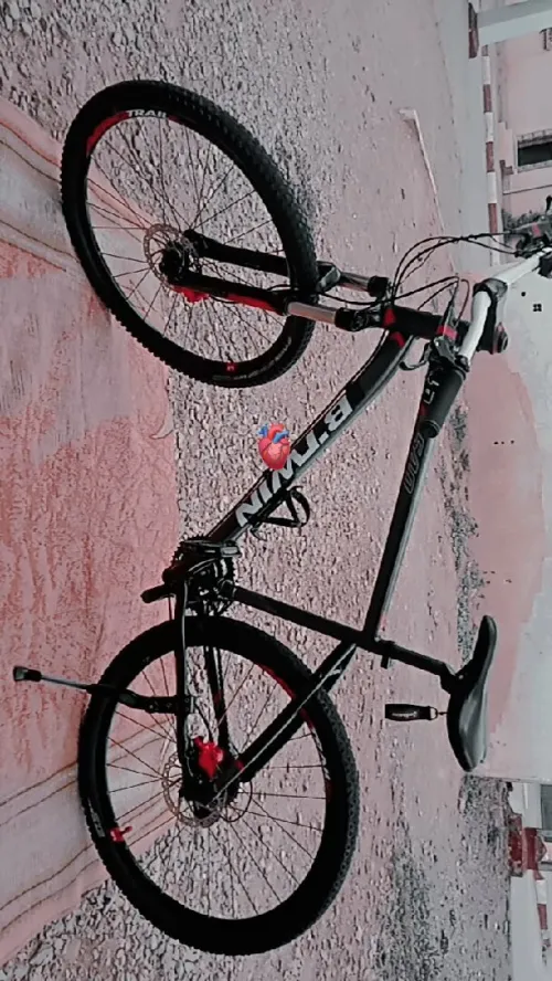 BTWIN ROCKRIDER D'origine italien 