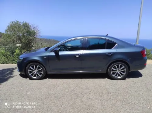 Skoda Edition 2016 Vert