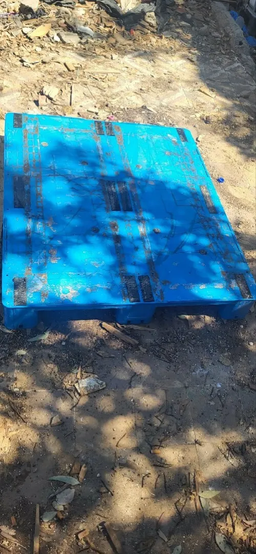 الجزائر العاصمة