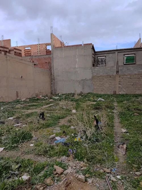 Vente Terrain Sétif Salah bey