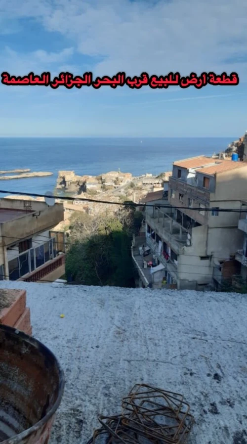 Vente Terrain Alger Rais hamidou