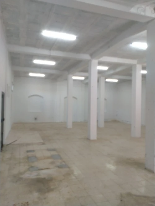 Location Local Alger Staoueli