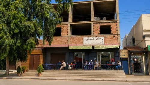 Vente Immeuble Djelfa Ain oussara