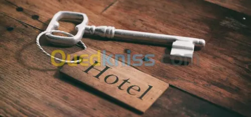 Carte d'accès chambre hôtel MIFARE Vingcard 
