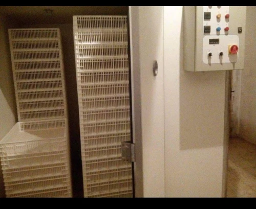 Incubateur eclosoie 