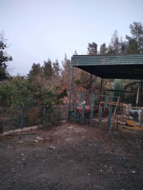 Vente Terrain Agricole M'Sila Bou saada