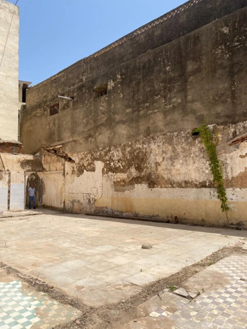 Vente Terrain Tipaza Kolea