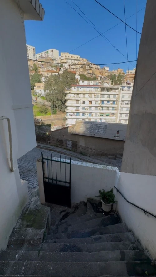Location Appartement F3 Alger Alger centre