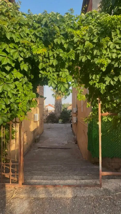 Location Appartement F3 Alger Souidania
