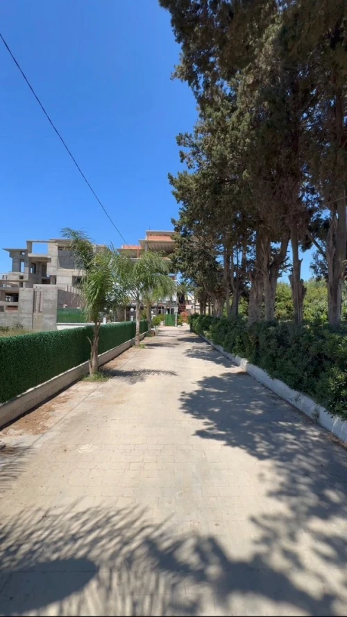 Location Local Alger Staoueli