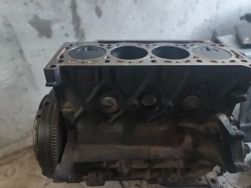 Demi motor renault 1.9, cleo 2, kongo