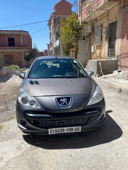 Peugeot 206 Plus 2009 206 Plus