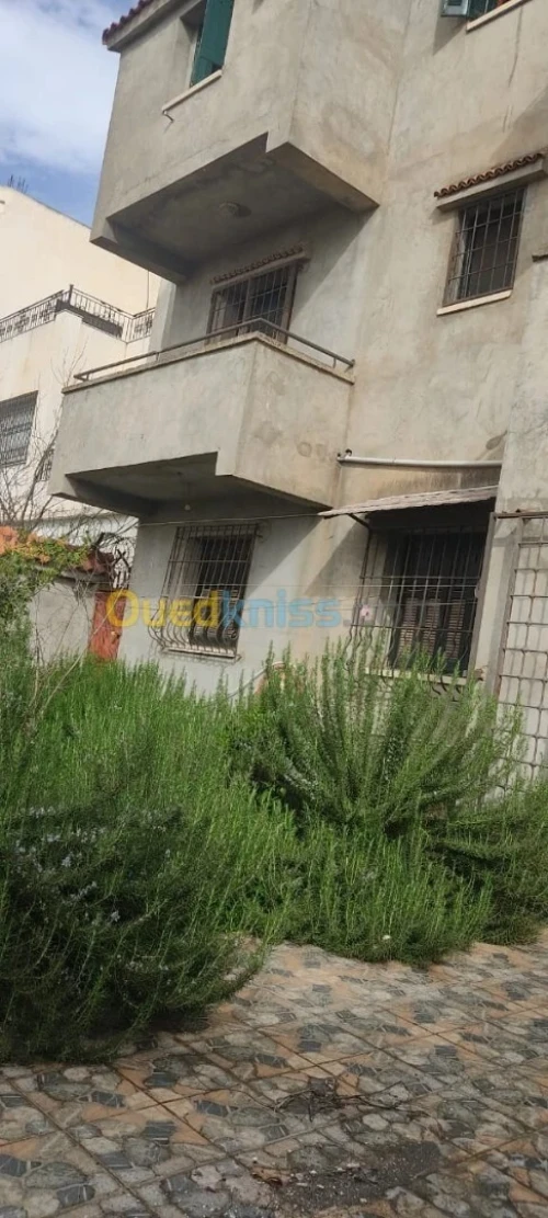 Vente Villa Alger Birtouta