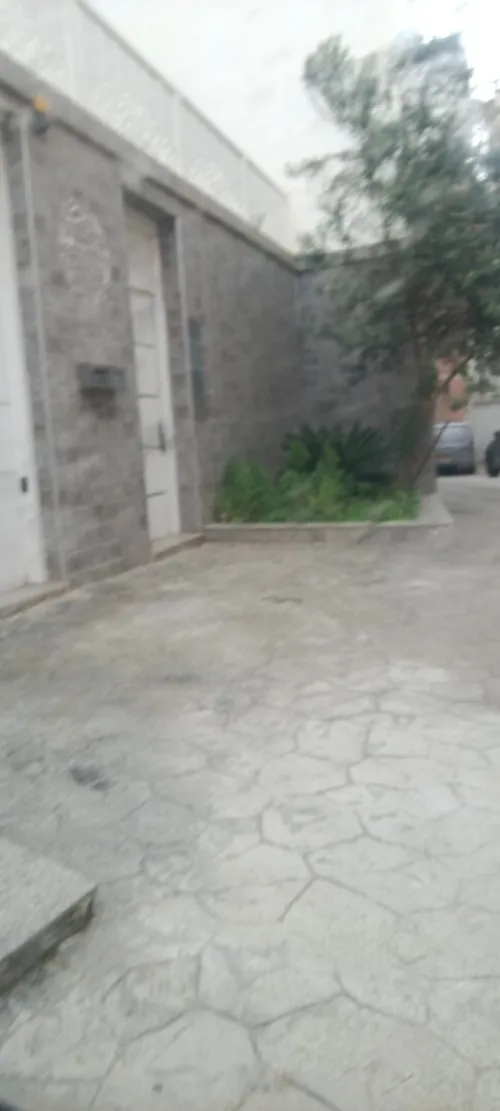 Location Alger Said hamdine