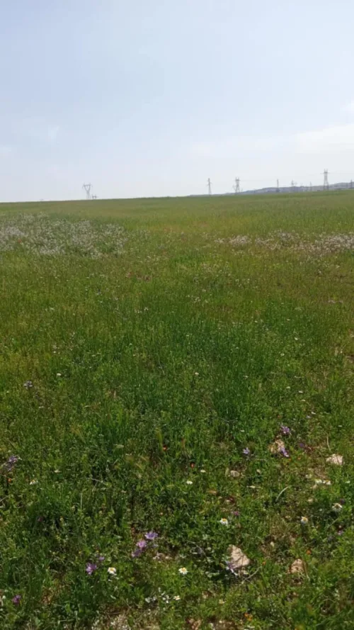 Vente Terrain Oum El Bouaghi Ain beida