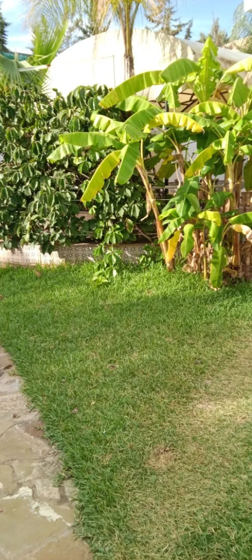 Location Villa Appartement F2 F3 Alger Said hamdine