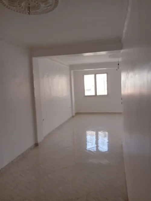 Location Local Sidi Bel Abbès Sidi bel abbes