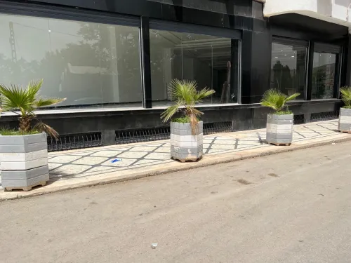 Location Local Constantine Constantine