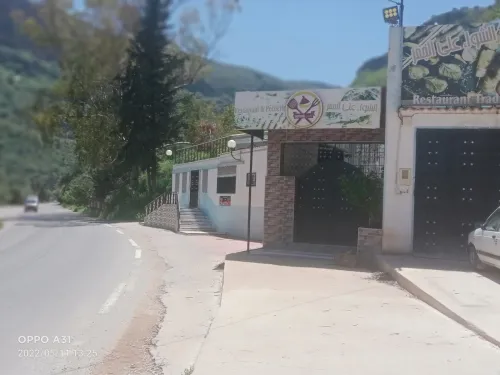 Vente Terrain Agricole Tlemcen Tlemcen