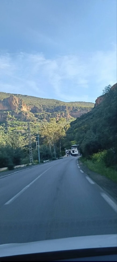 Vente Terrain Agricole Tlemcen Tlemcen