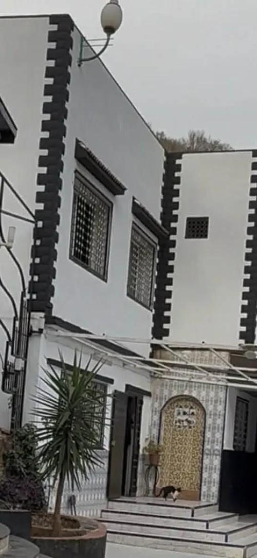 Vente Terrain Agricole Tlemcen Tlemcen