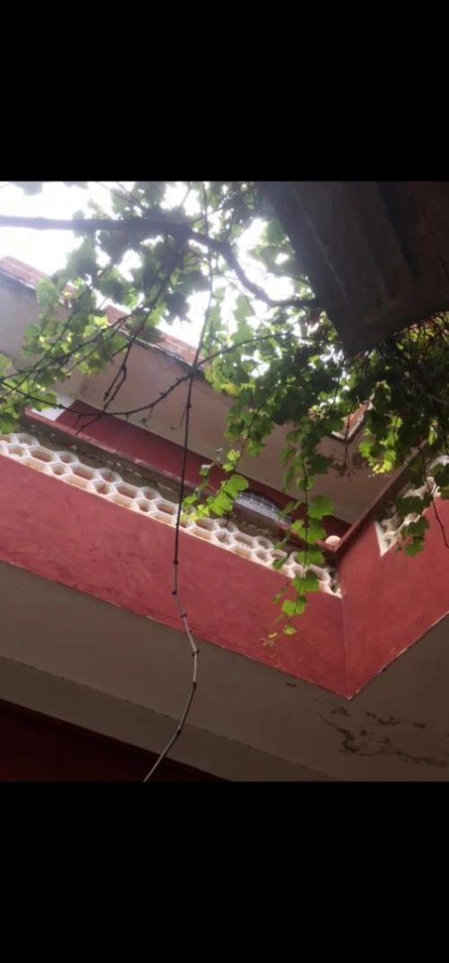 Vente Villa Jijel Settara