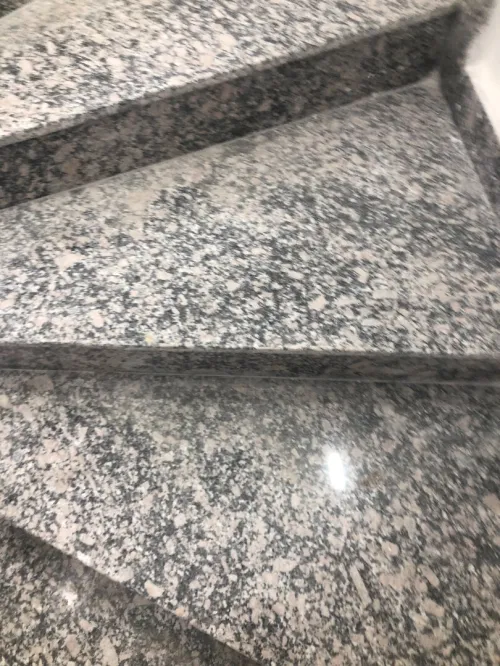 Vente Appartement F4 Alger Cheraga