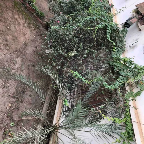 Vente Appartement F4 Alger Hydra