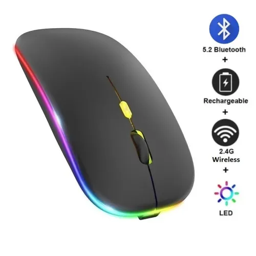 Souris Sans Fil Rechargeable HP W10