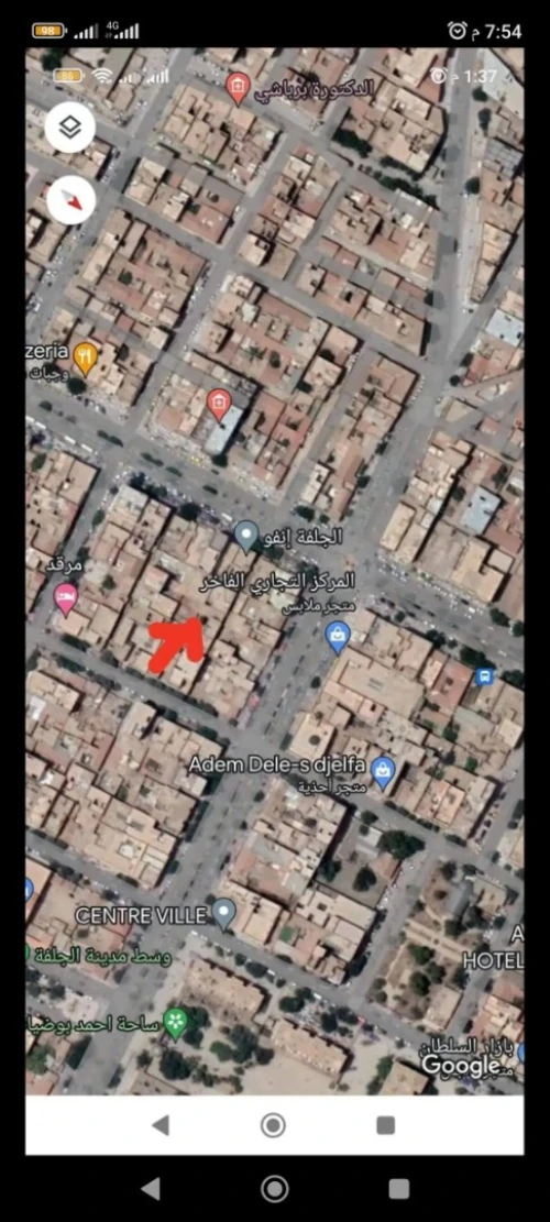 Vente Terrain Djelfa Djelfa