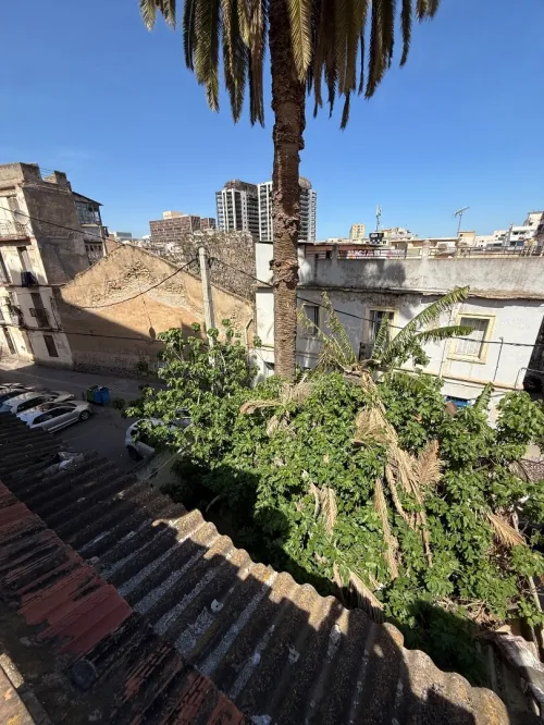 Vente Terrain Alger Sidi mhamed