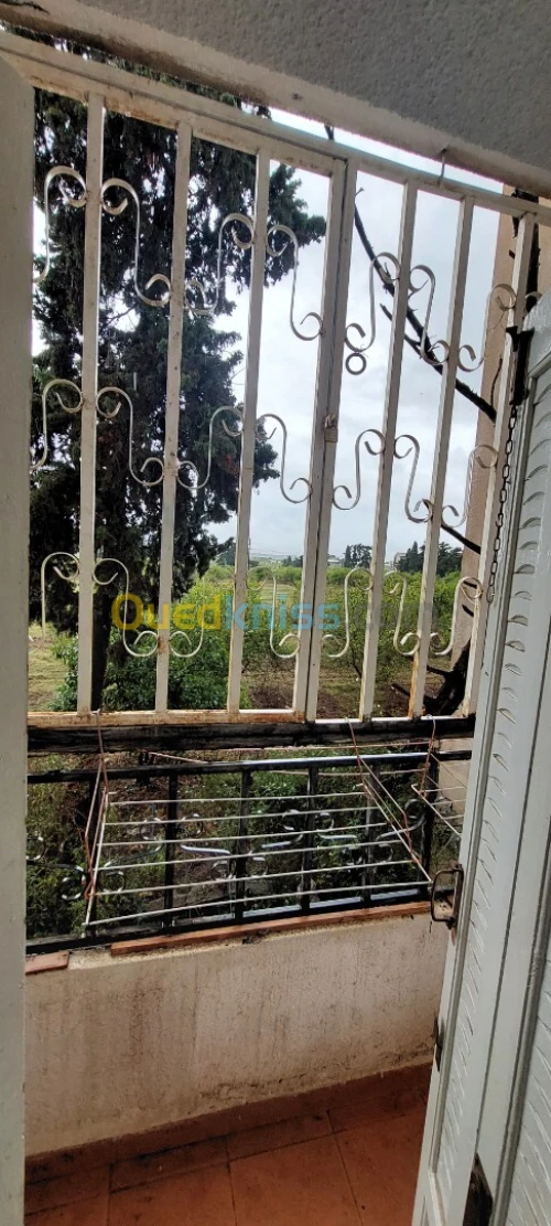 Location Appartement F3 Alger Staoueli