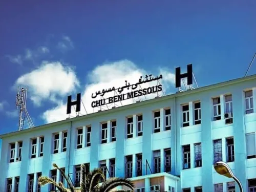 Vente Terrain Alger Beni messous