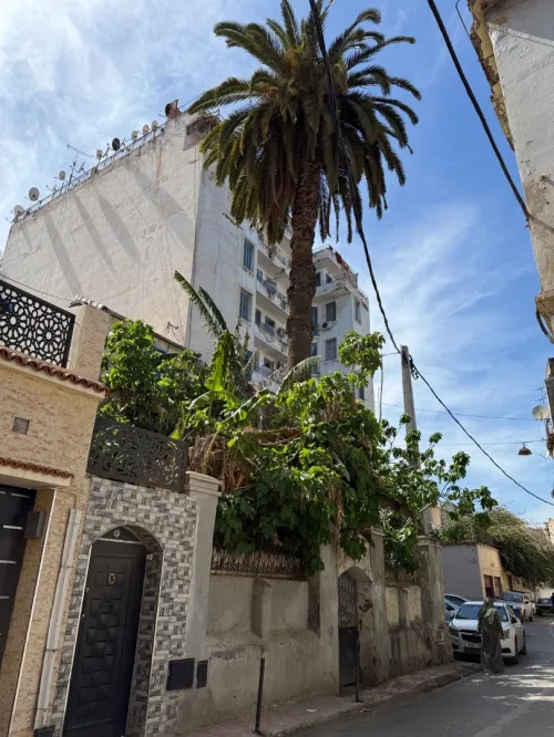 Vente Terrain Alger Sidi mhamed