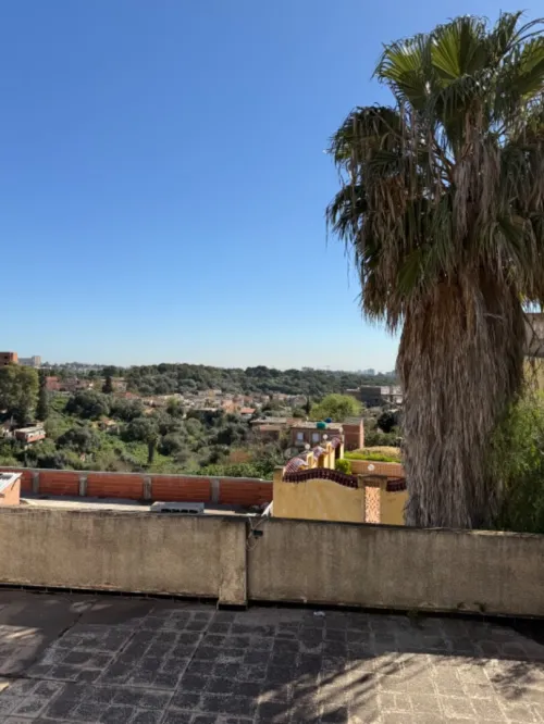 Vente Terrain Alger El achour