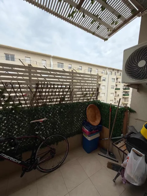 Location Appartement F4 Alger Cheraga