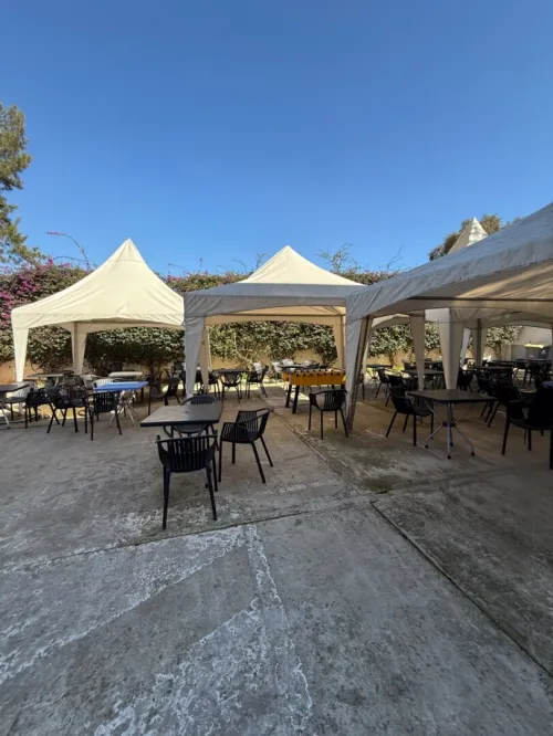Vente Terrain Alger El achour