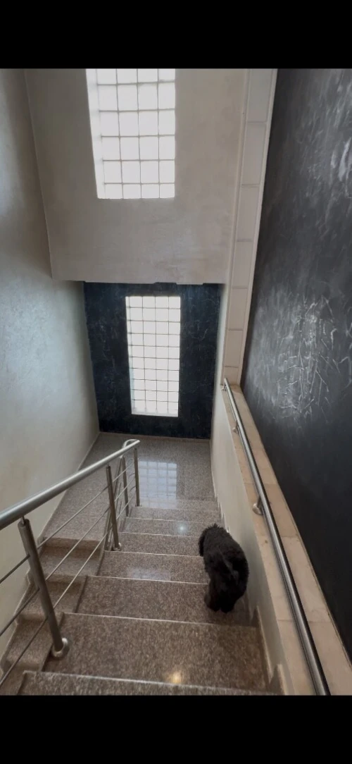 Vente Villa Alger Cheraga