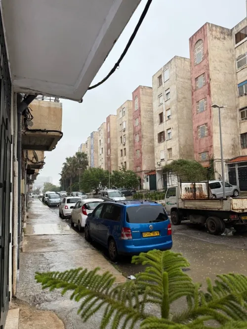 Vente Local Alger Ben aknoun