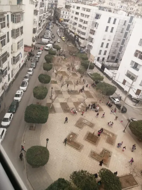 Vente Appartement Studio Alger Bab el oued